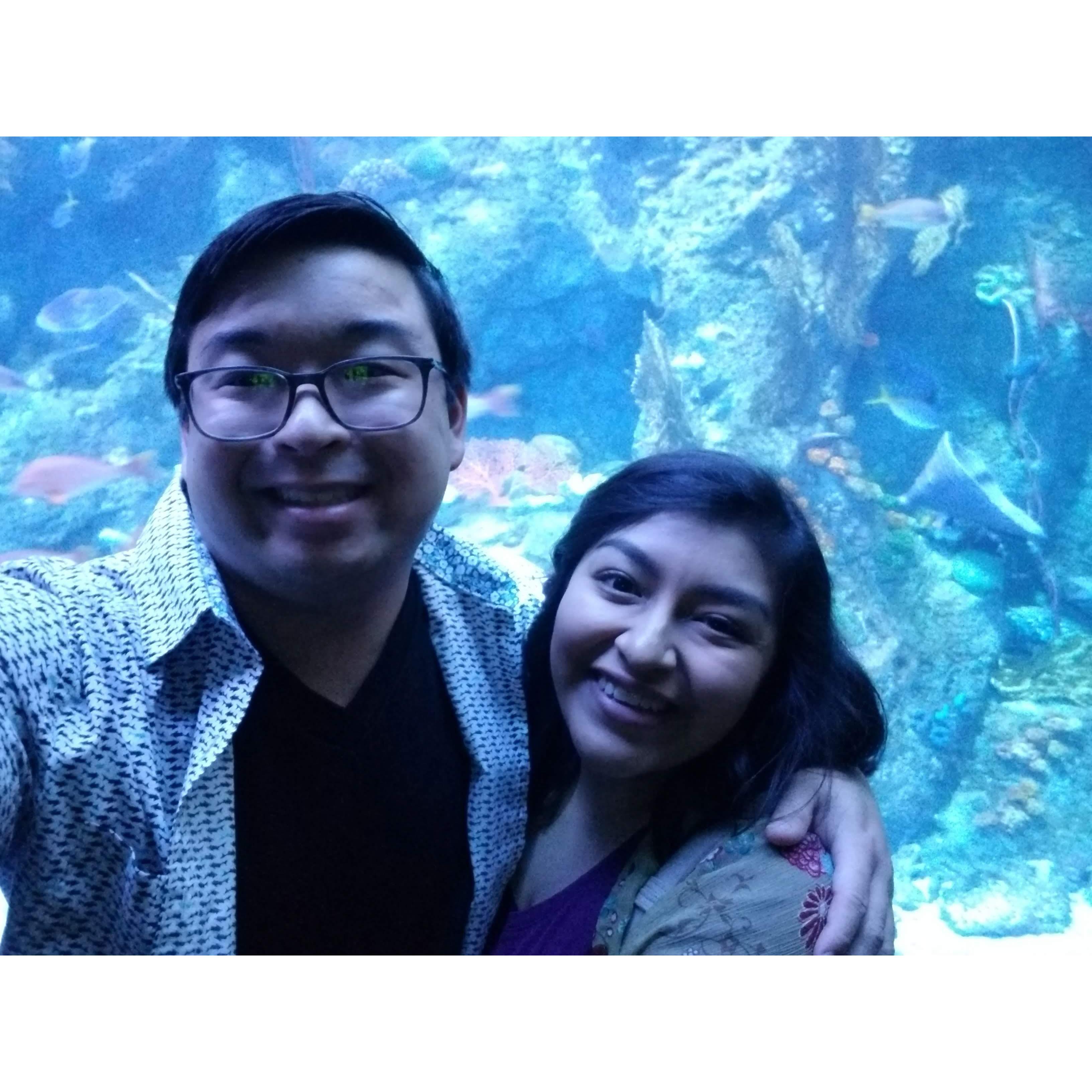 Aquarium of the Pacific, Long Beach. June 2019