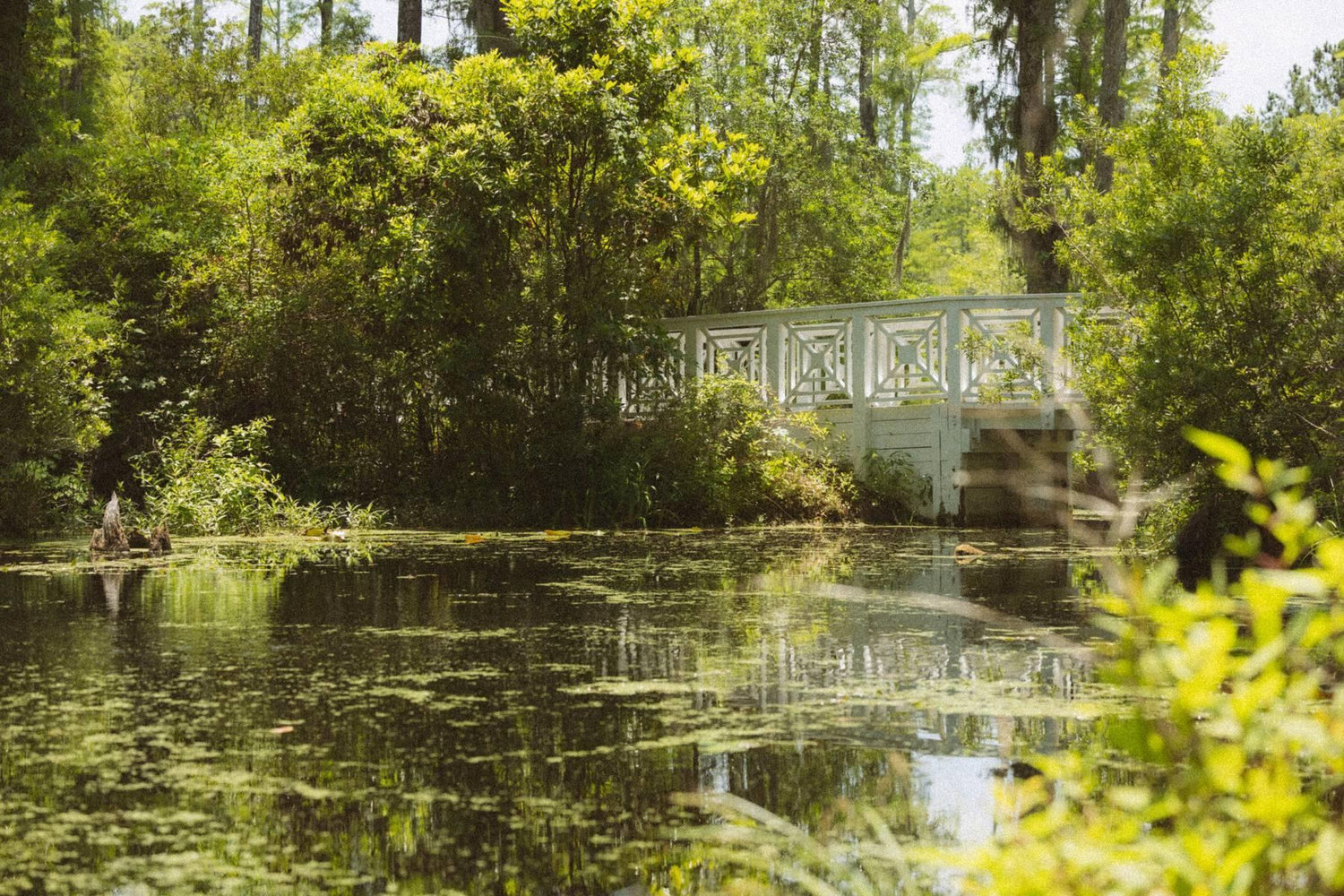 The Wedding Website of Chloe Terry and Tanner Crabtree