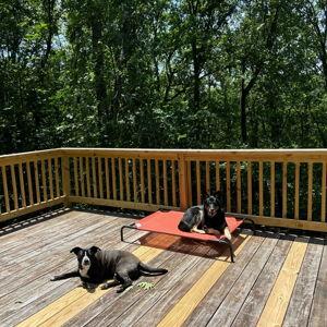 Deck Repair
