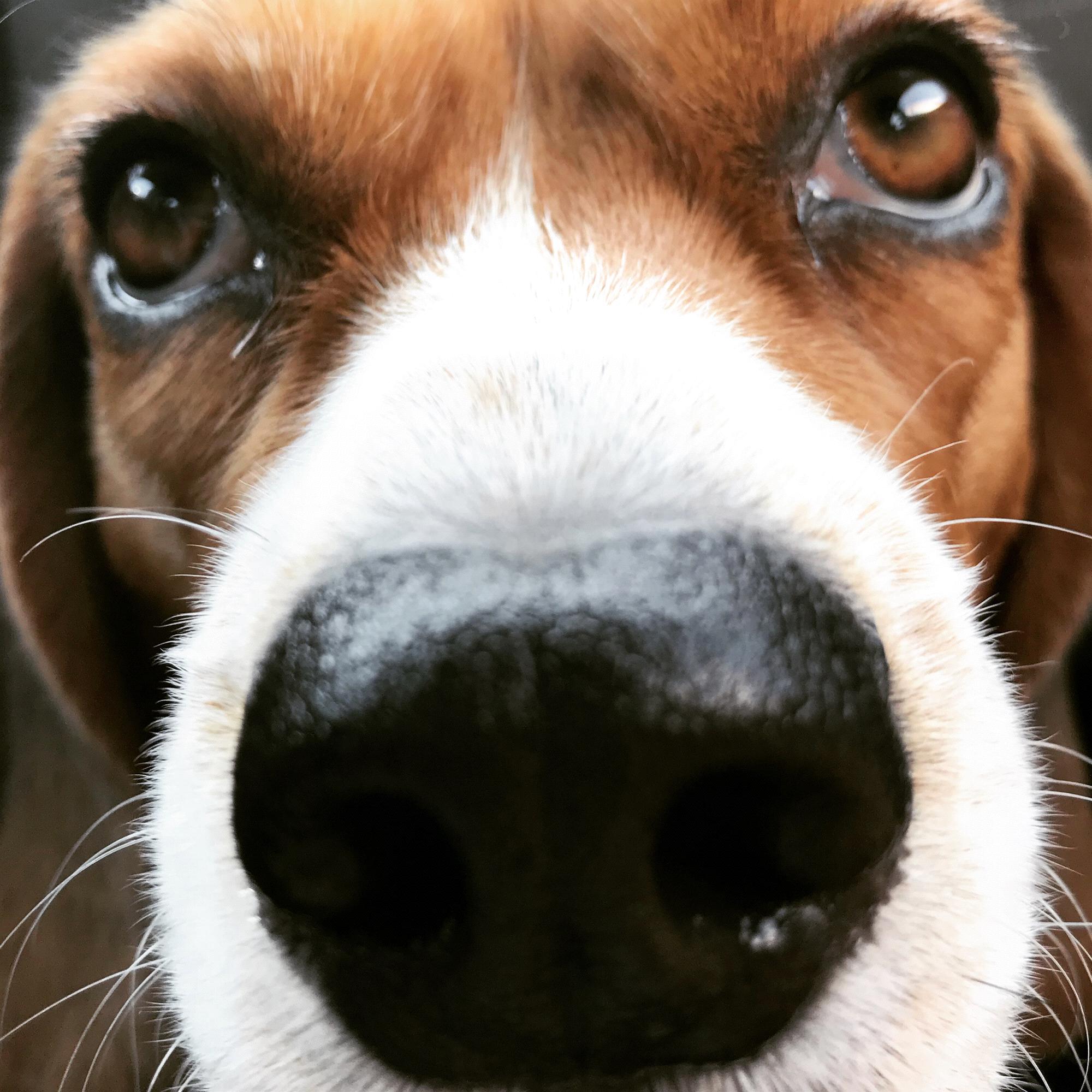 Up close and personal with Charlie