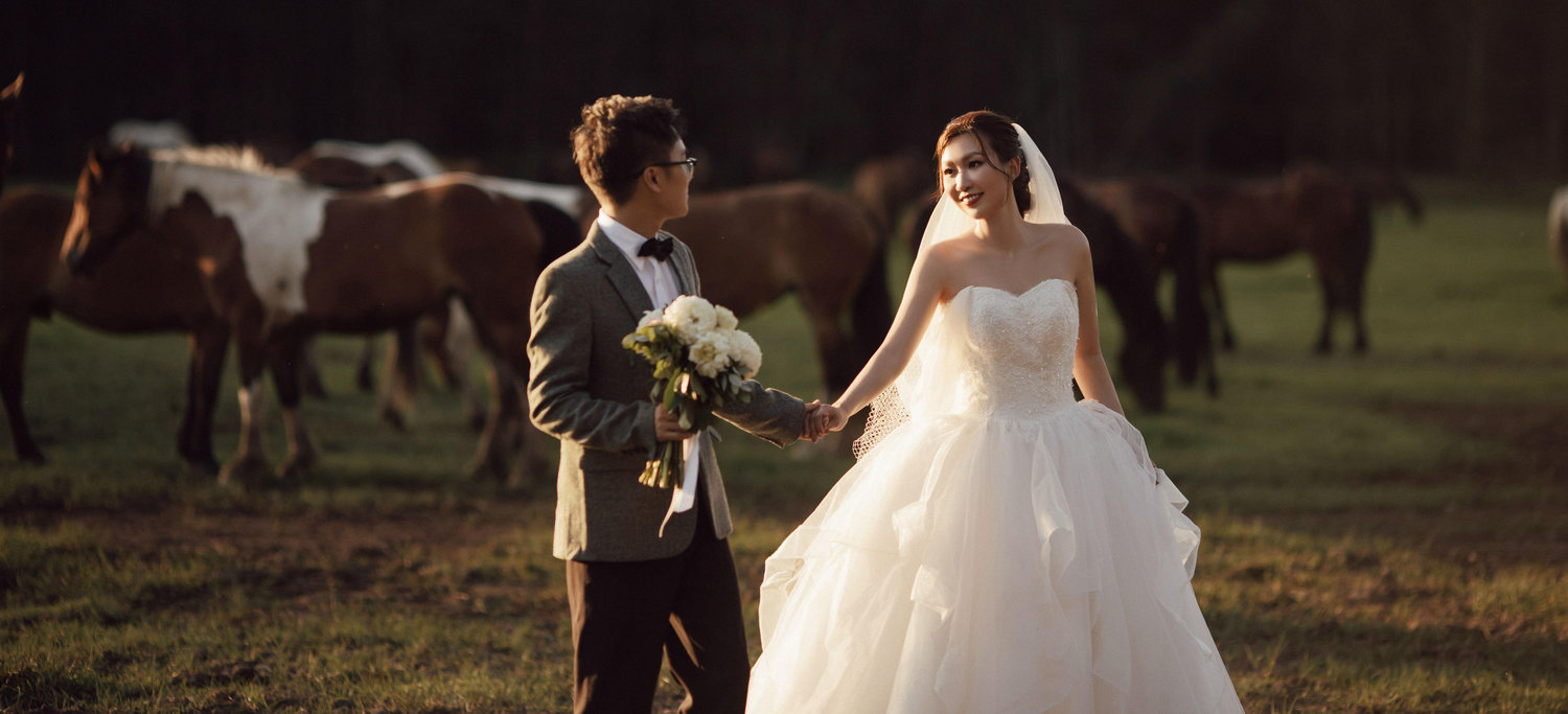 The Wedding Website of Tom Liu and Sherry Cai