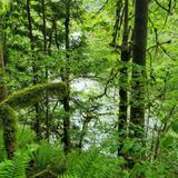 Flaming Geyser State Park
