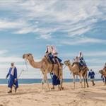Camel Ride on the beach