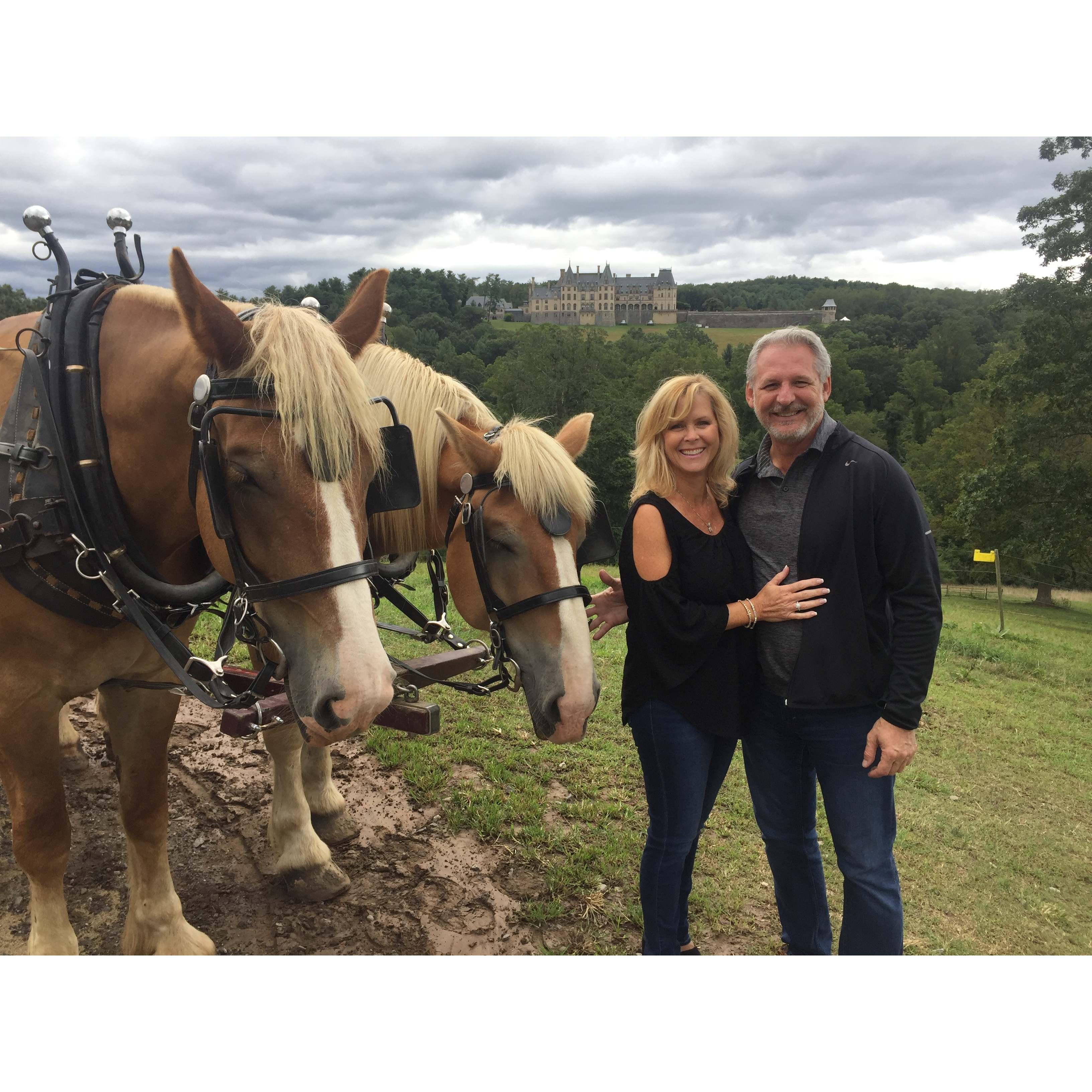 Romantic horse and carriage ride through the Biltmore hills