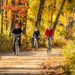 Walk along Lakeshore Path
