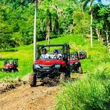 ATV and Buggy