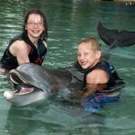 Dolphin Quest