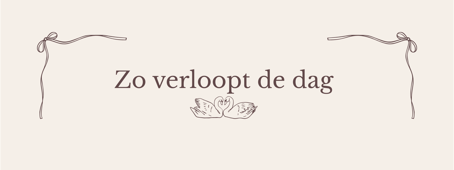 The Wedding Website of Bella Yakar and Latif Yakar