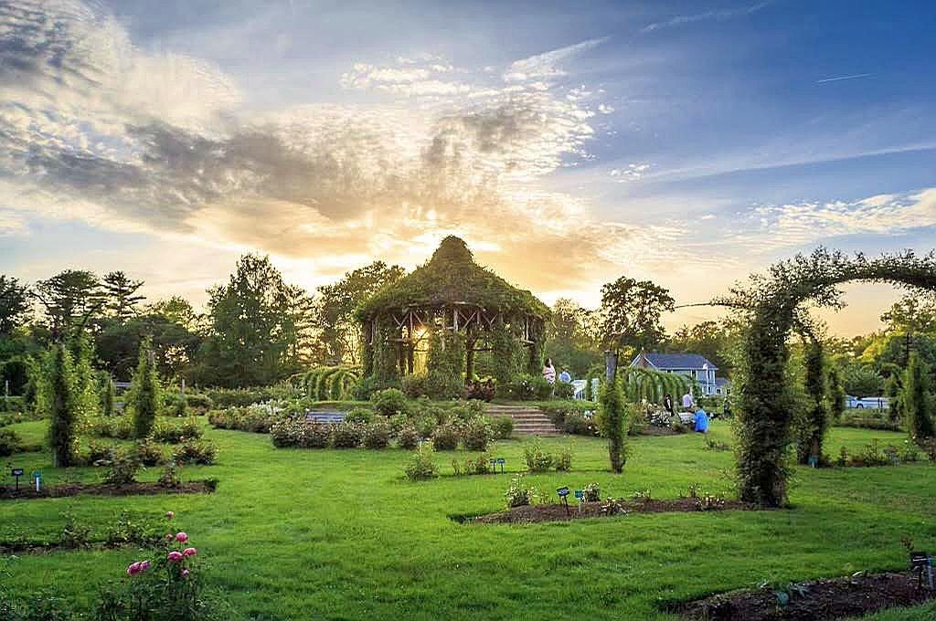 The Wedding Website of Rachel Sharasheff and Jonathon Baranowski