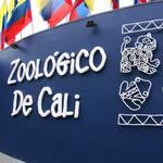 Zoológico de Cali