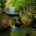 Ohiopyle State Park