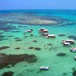 Maragogi beaches