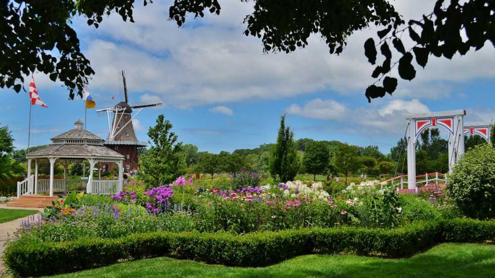 The Wedding Website of Liz Farrell and Olaf Verdonck