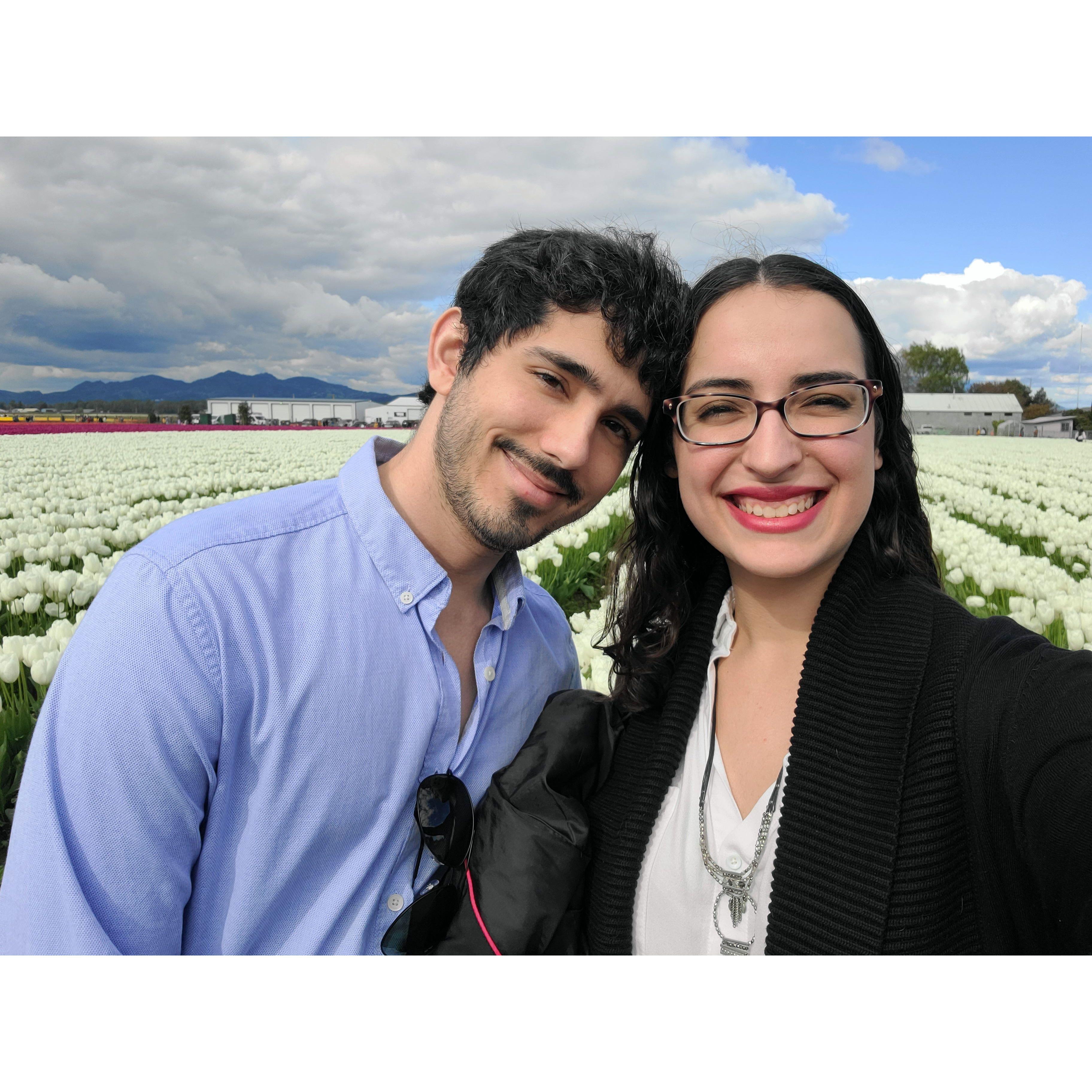 Roozengarde Tulip Farm, Washington, 2022.