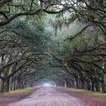 Wormsloe Historic Site