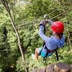 Tree Frog Canopy Tours