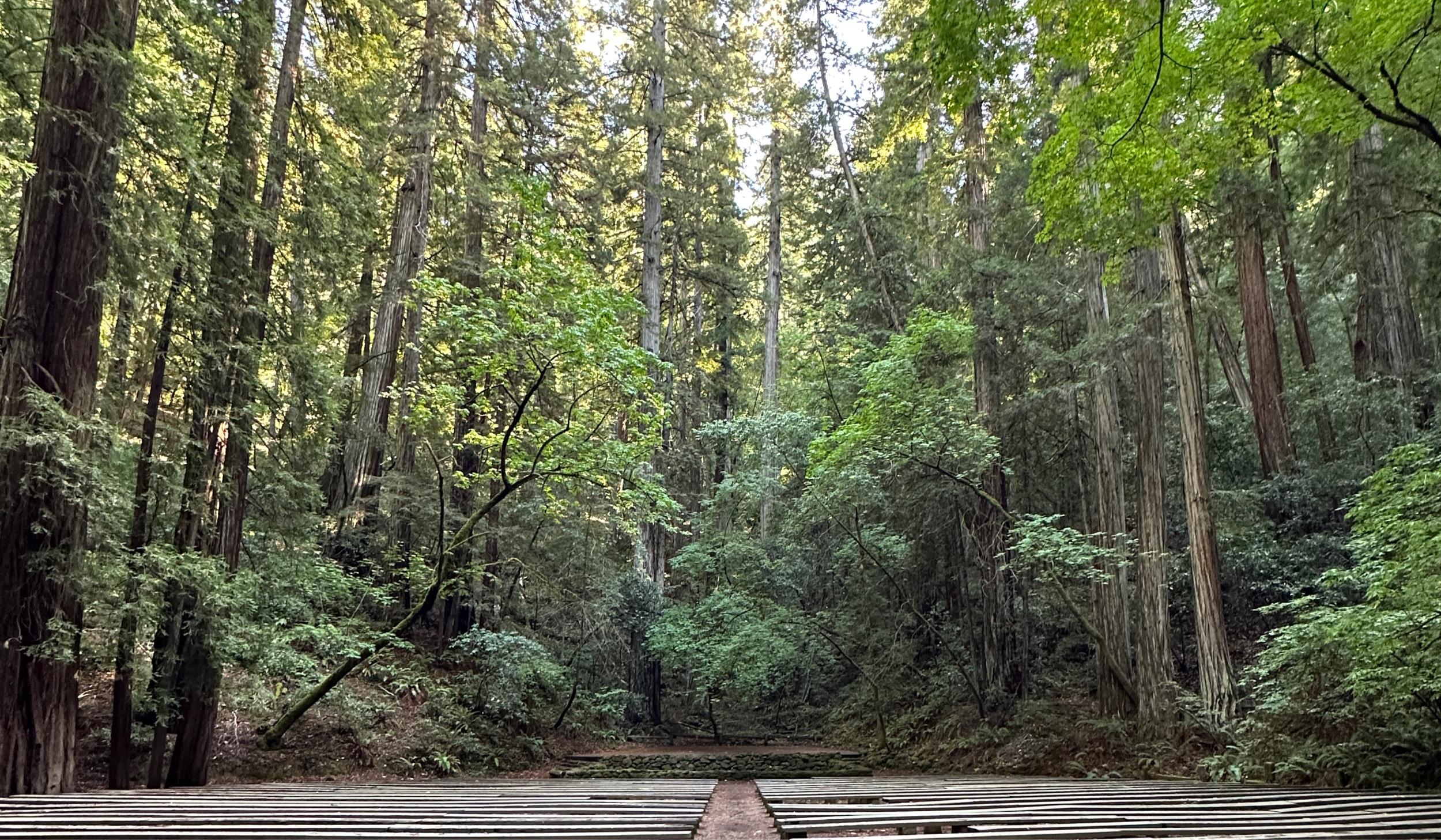 The Wedding Website of Rachel Sturm and Dustin Moon