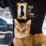 Denver Cat Company