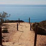 Torrey Pines State Natural Reserve