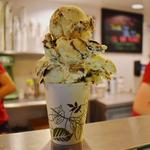 Nelson's Ice Cream