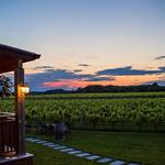 Macari Vineyards