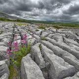 The Burren