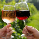 Saint Paul Mountain Vineyards