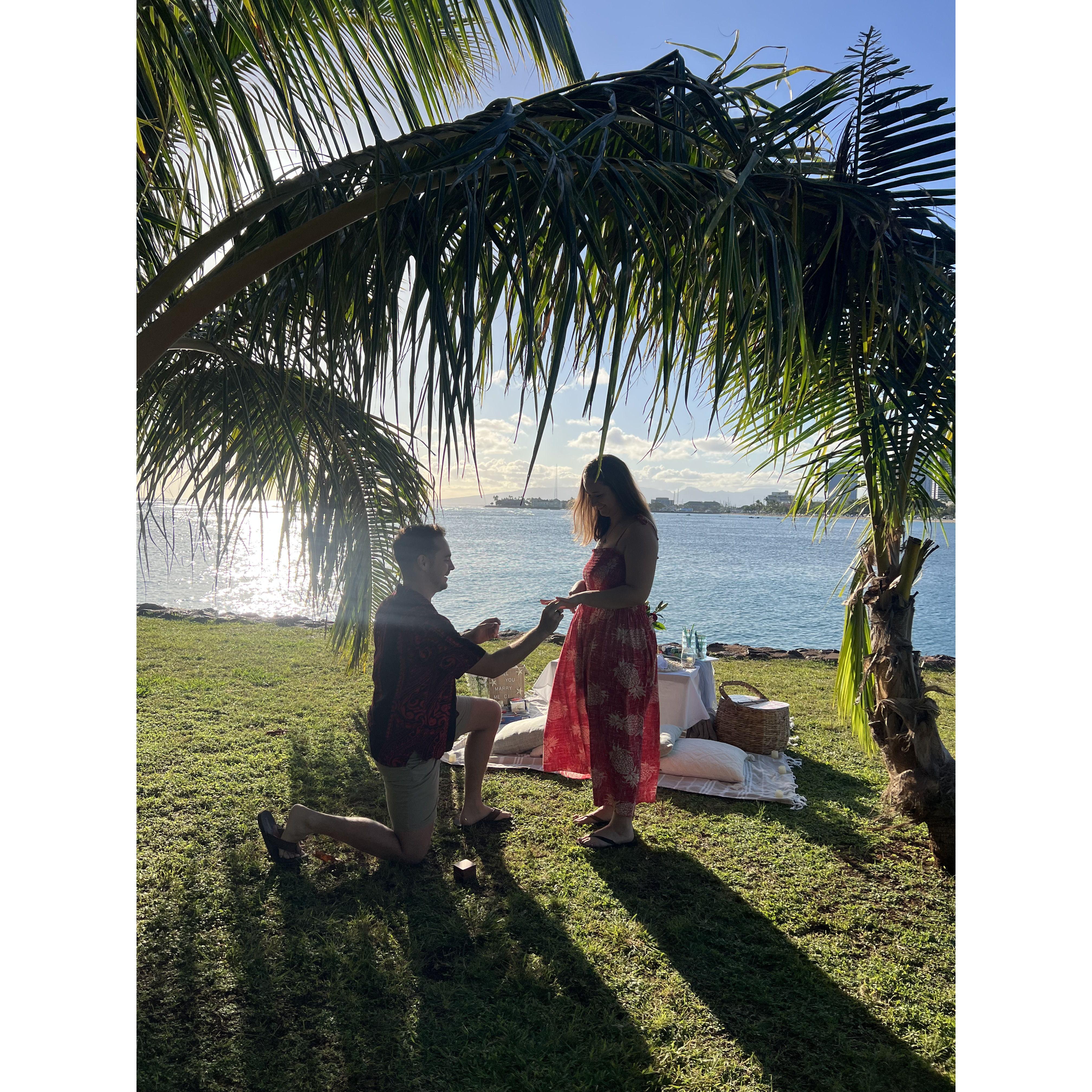 The Proposal!
