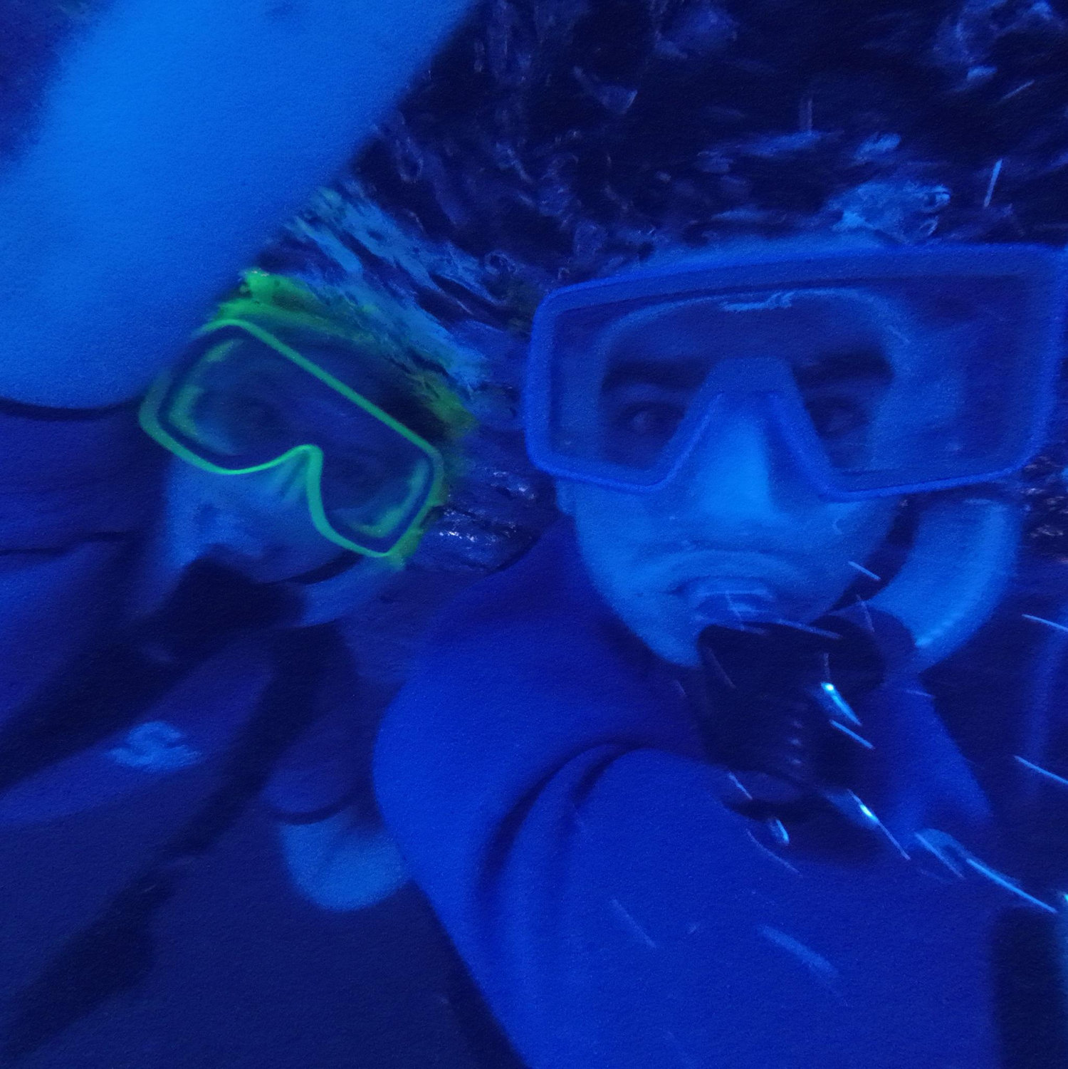 Swimming with Manta Rays at Big Island Hawaii