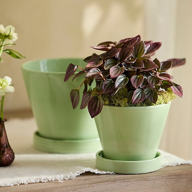 Classic Glazed Galestro Pot + Saucer Set