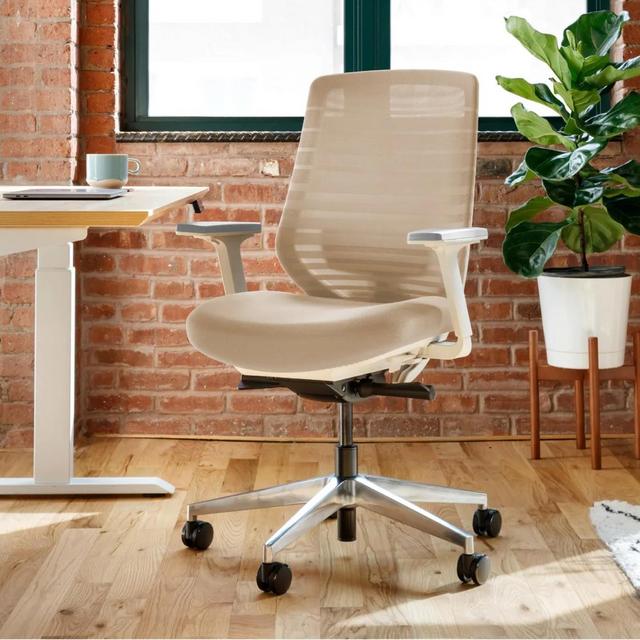 Ergonomic Desk Chair