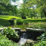 Valley Garden Park