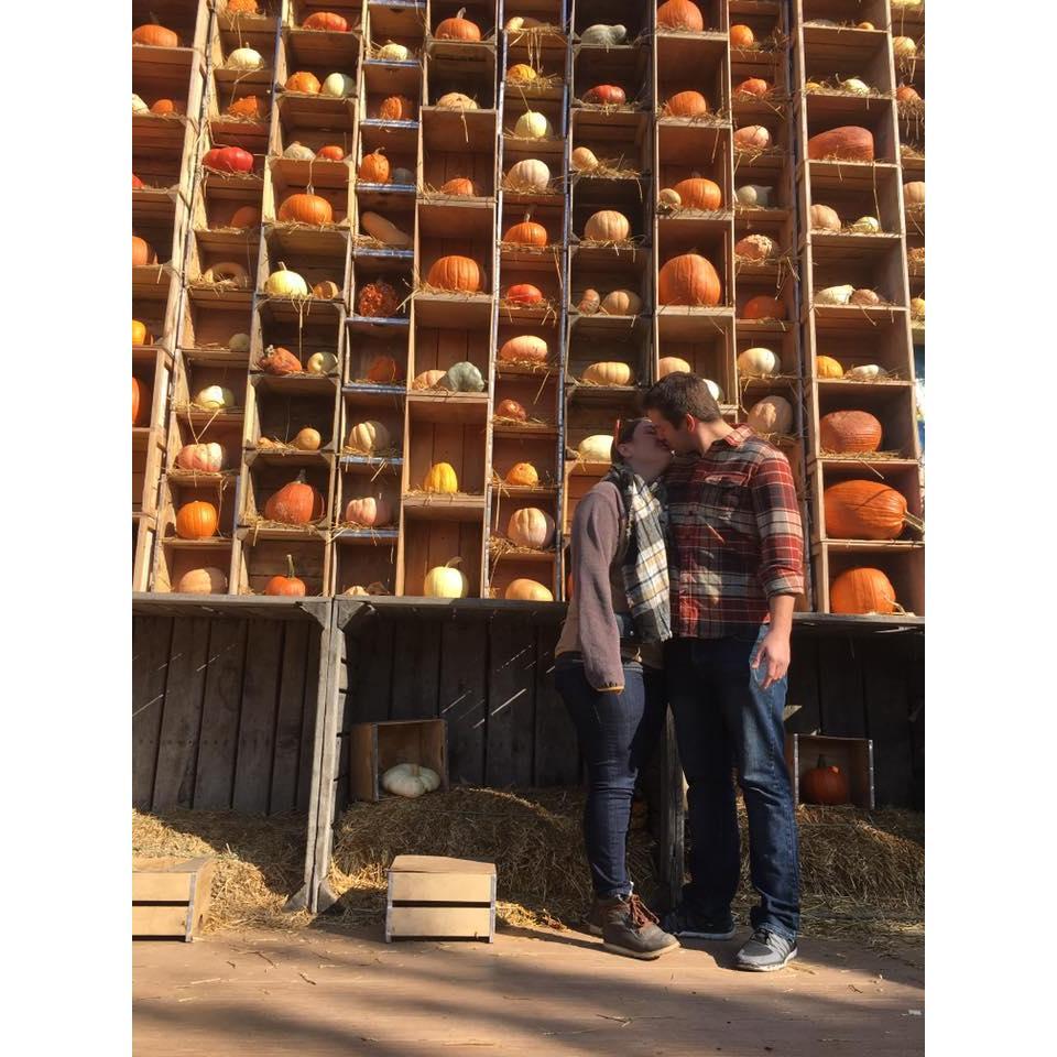 Mapleside Farms Pumpkin Wall !!
