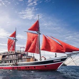 Our Honeymoon Diving Adventure