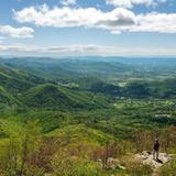 For the Nature Lovers