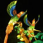 Wild Lanterns Light Festival