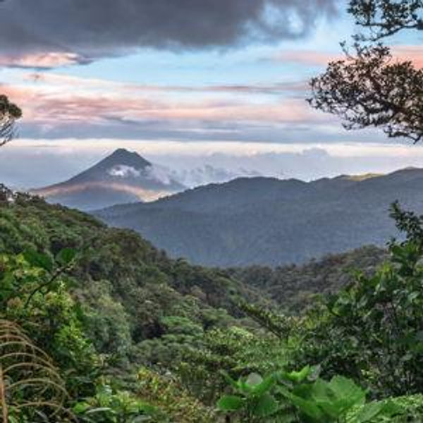 Honeymoon Fund - Costa Rica!