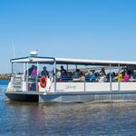 Jekyll Island Dolphin Tours