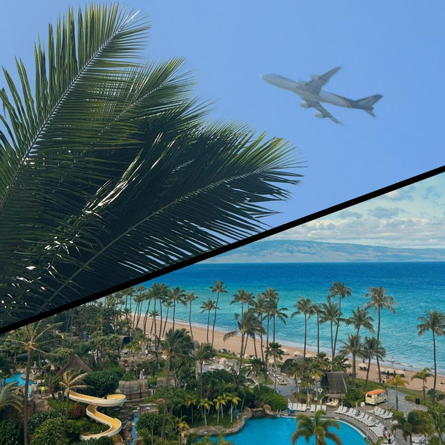 Travel and Hotel Fund