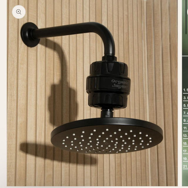 Shower Filter