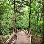 Rock Bridge State Park