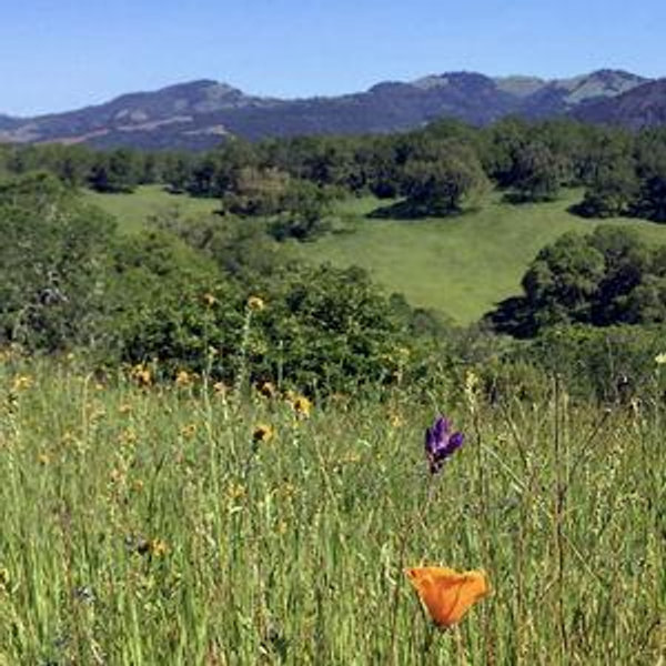 Sonoma County Annual Parks Pass