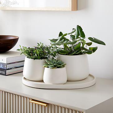 Dahlia Planter Set