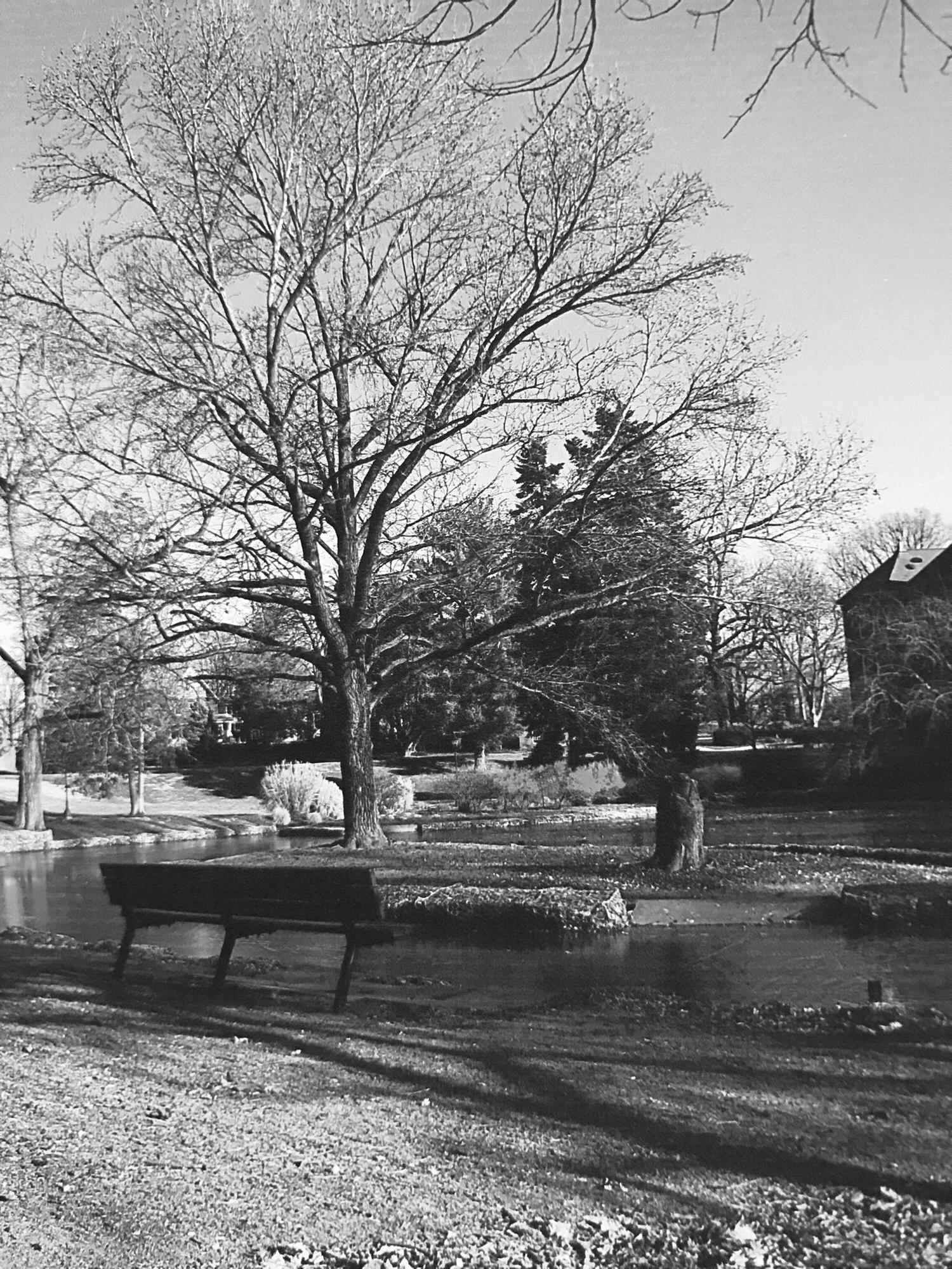 Where our story began — circa 2010. We spent hours on this bench talking, well into the night under the light of the moon🌙