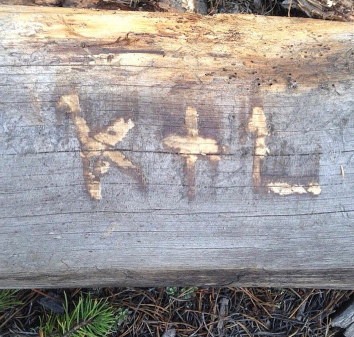 Landin carved this while he was in Colorado in 2014. Cutest thing ever!