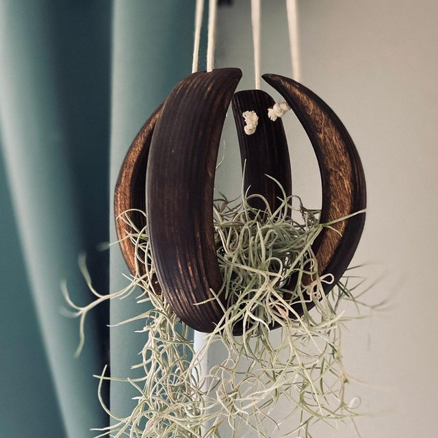 Wood circle, air plant hanger, plant hanger, plant stand, small planter, air plant holder, plant shelf, gift for plant lover, birthday gift