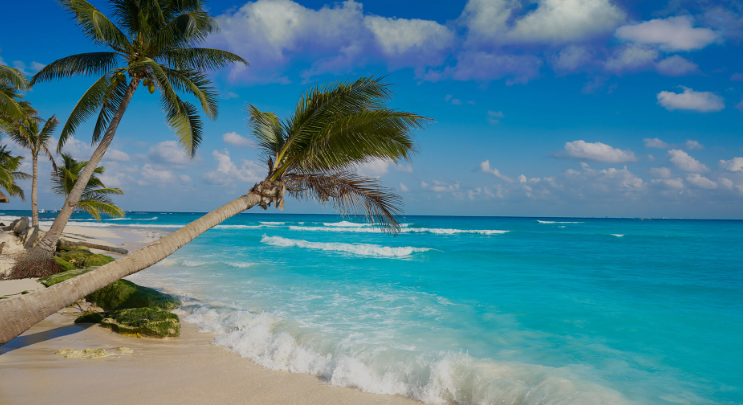 The Wedding Website of Anabel Bernabe and Patrick Tavares