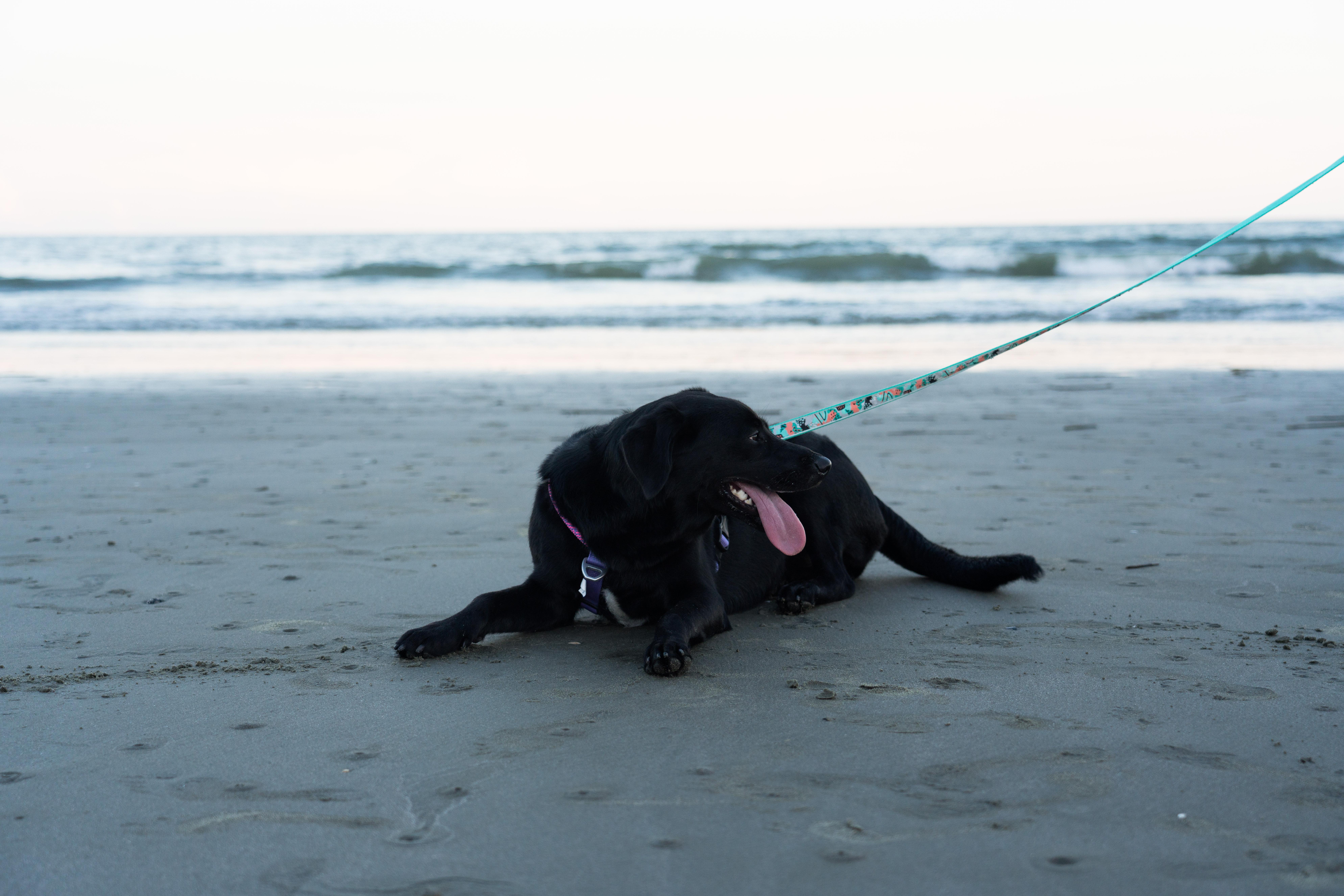 7d799870-9de3-40d3-9164-81948e878a23