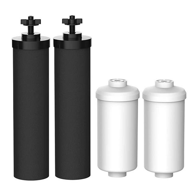 FilterLogic Water Filter, Replacement for Black Filters (BB9-2) & Fluoride Filters (PF-2) Combo Pack and Gravity Filter System - Includes 2 Black Filters and 2 Fluoride Filters