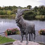 Killorglin